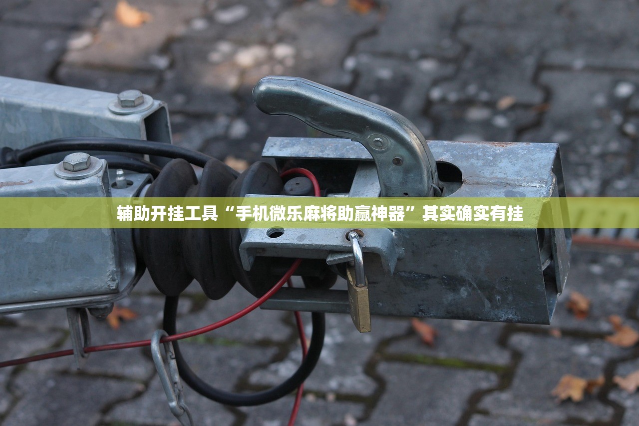 辅助开挂工具“手机微乐麻将助赢神器”其实确实有挂