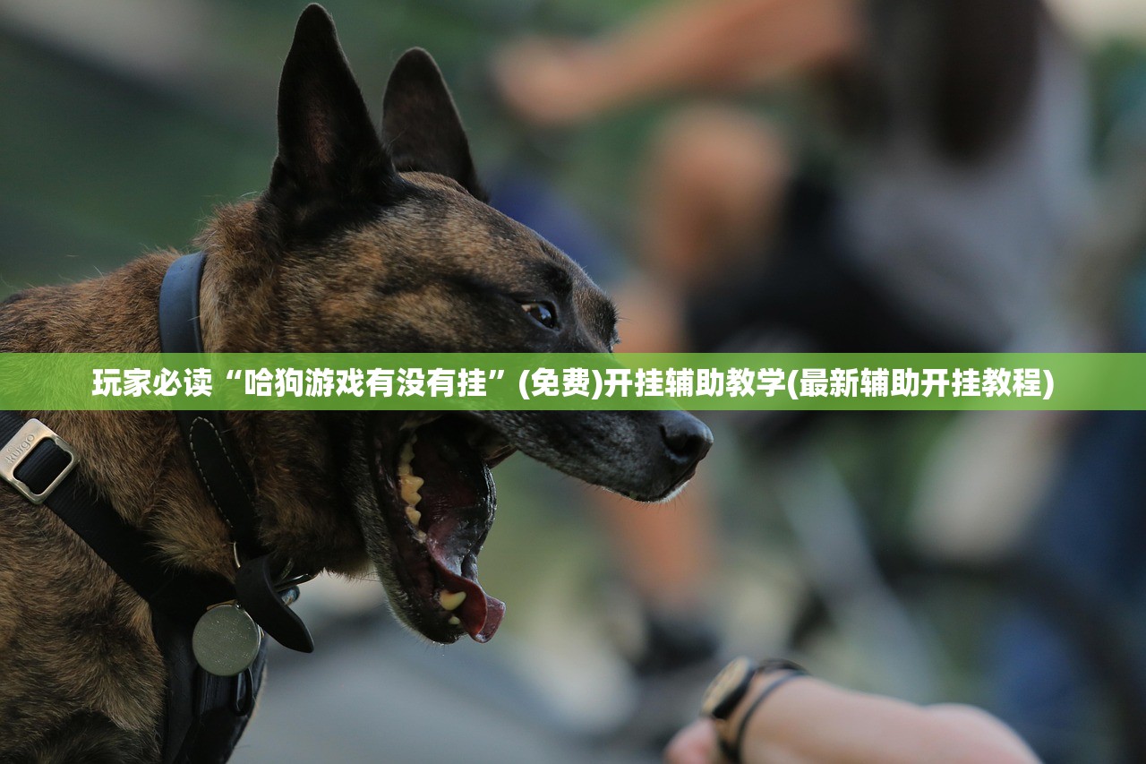 【逍客变速箱问题/逍客变速箱问题大吗】