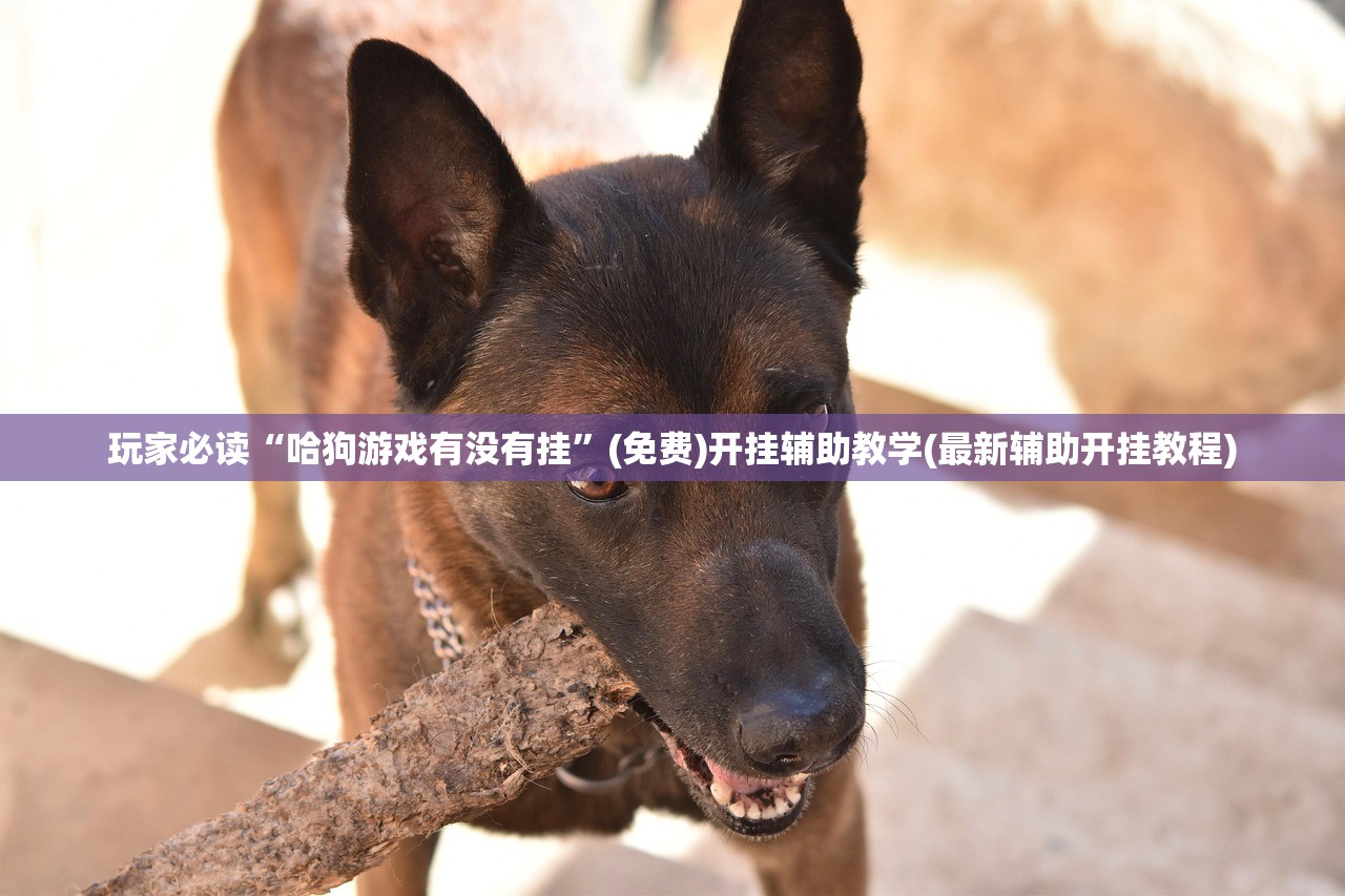 玩家必读“哈狗游戏有没有挂”(免费)开挂辅助教学(最新辅助开挂教程)