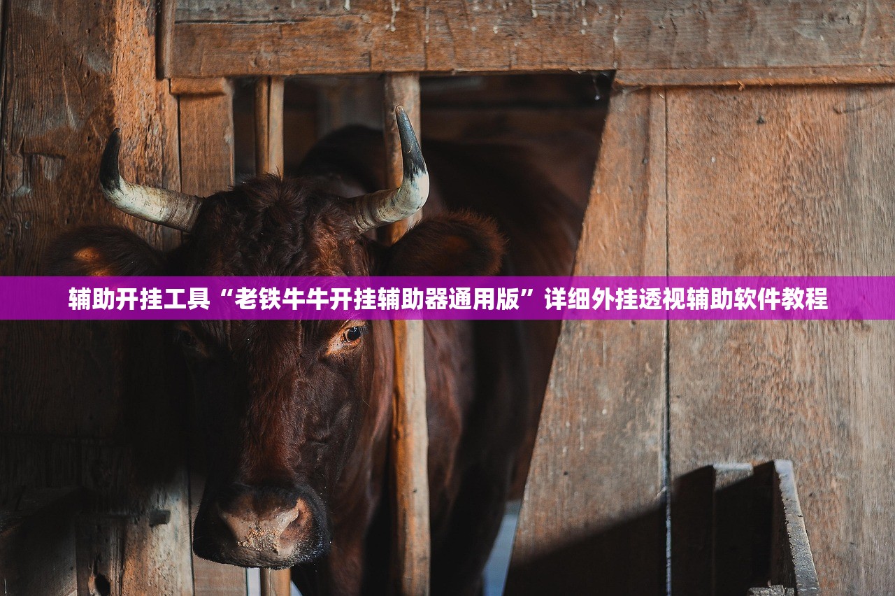 【设计人图像/设计图片的人叫什么】