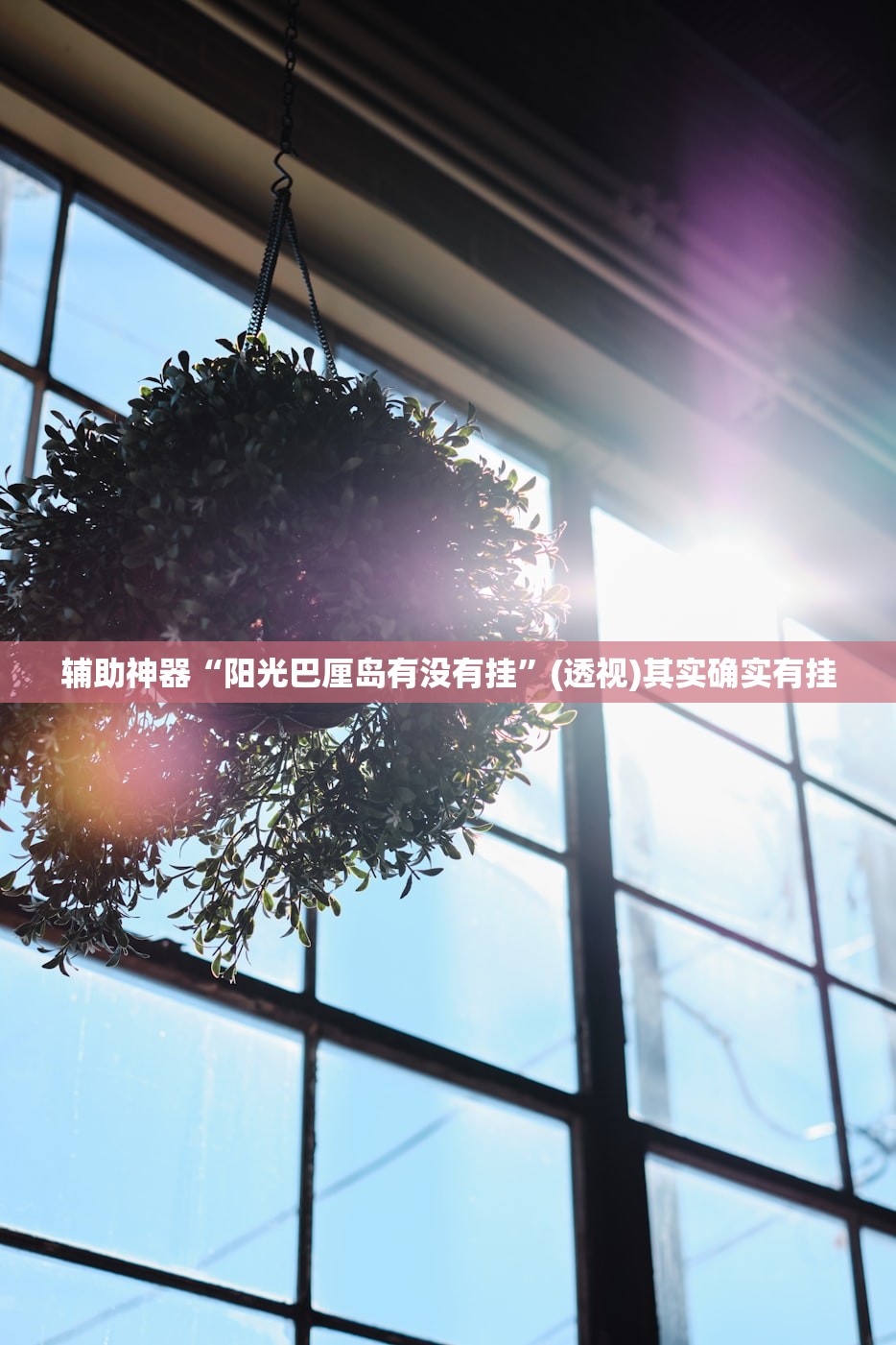 辅助神器“阳光巴厘岛有没有挂”(透视)其实确实有挂