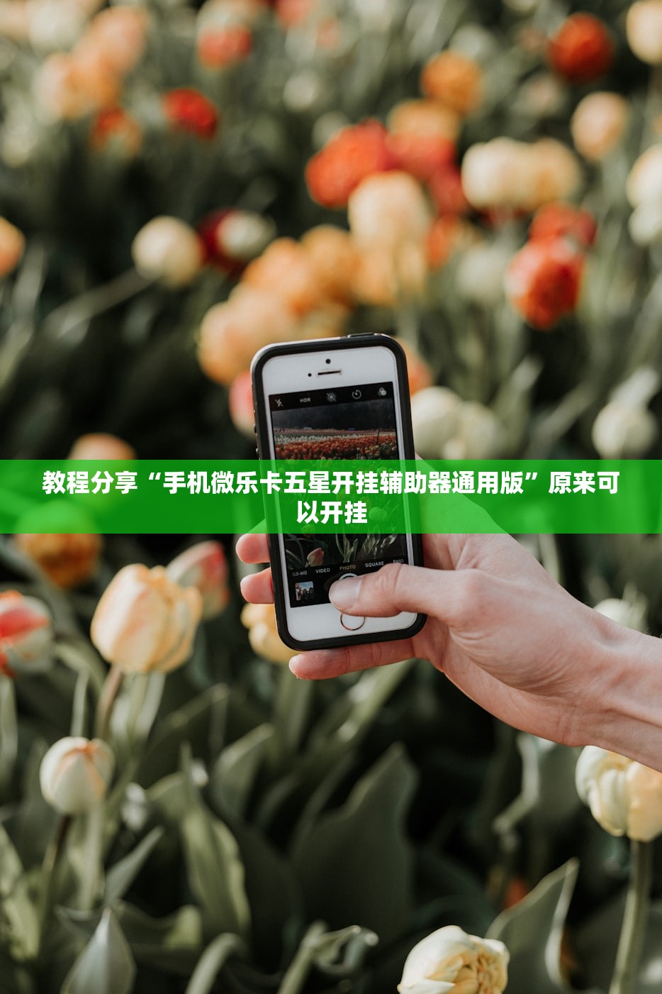 使用分享!闲来跑胡子到底有没有挂”细辅助教程分享