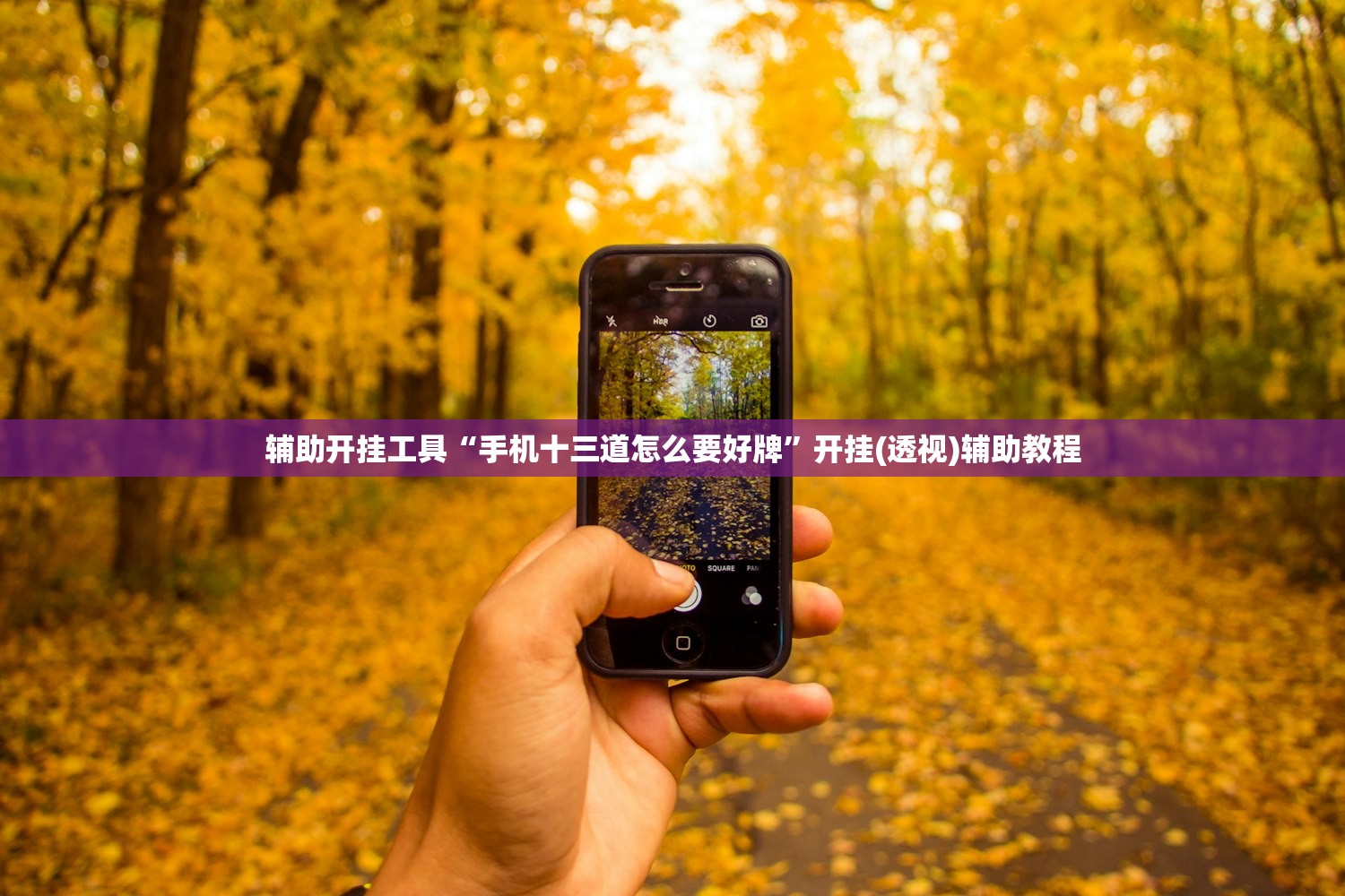 辅助开挂工具“手机十三道怎么要好牌	”开挂(透视)辅助教程