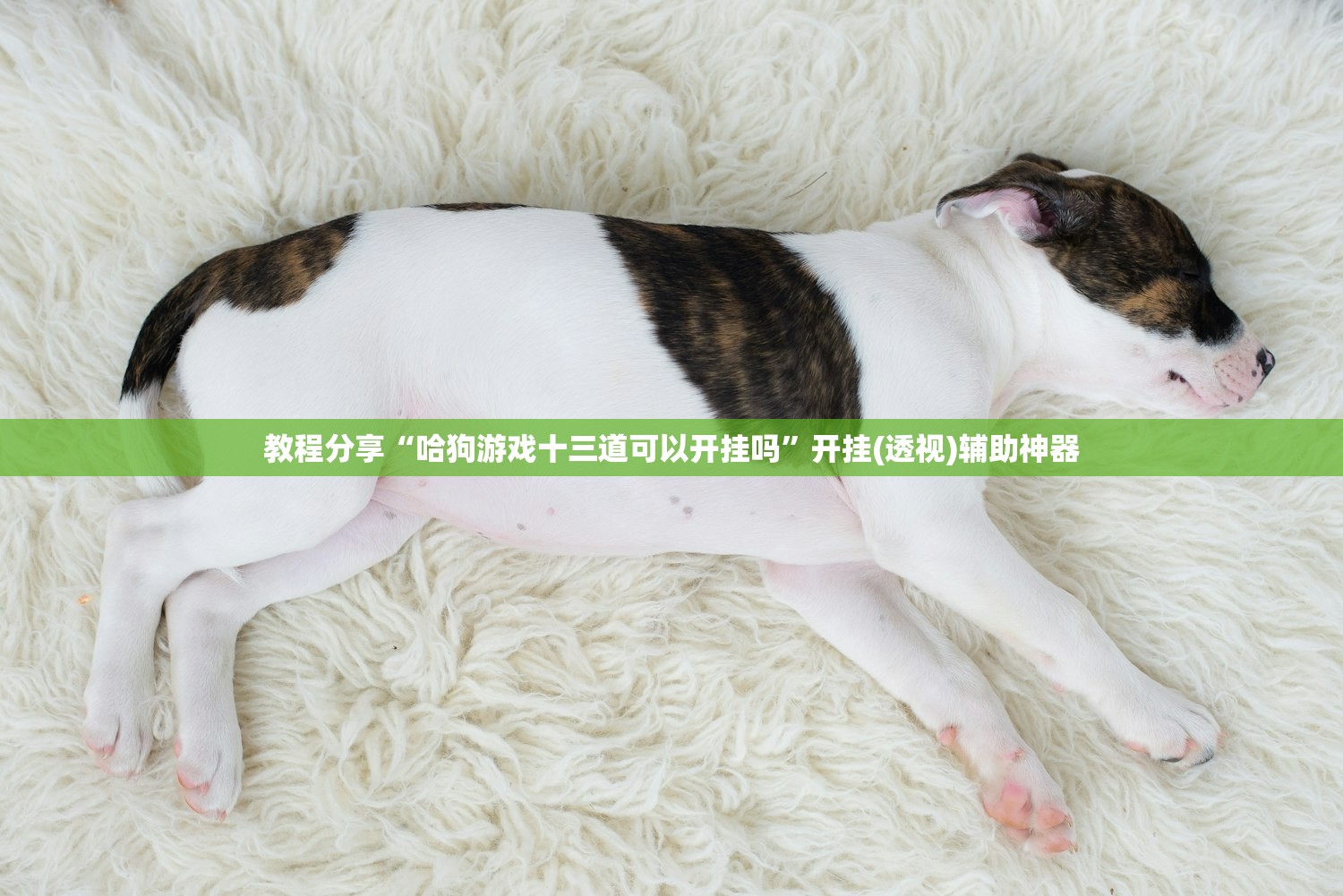 开瑞轿车的价位多少/开瑞汽车车型有哪些