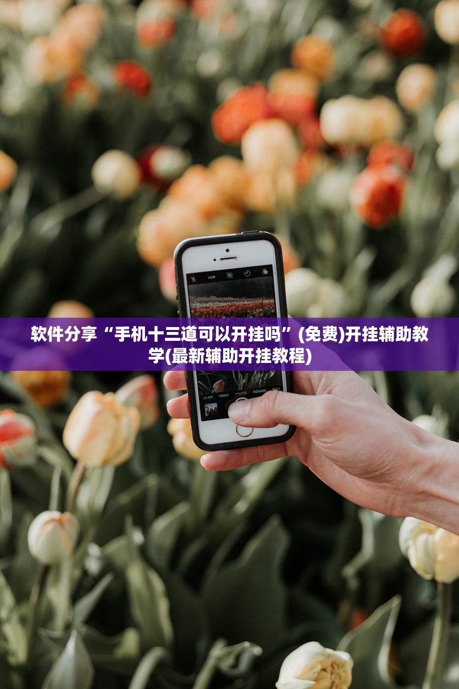 软件分享“手机十三道可以开挂吗	”(免费)开挂辅助教学(最新辅助开挂教程)