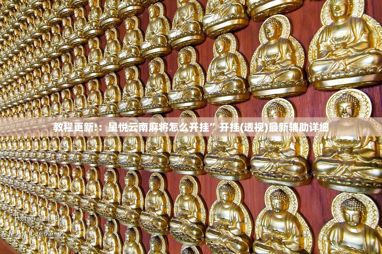 教程更新!：星悦云南麻将怎么开挂”开挂(透视)最新辅助详细