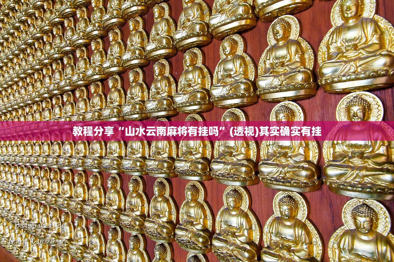 教程辅助!手机十三水可以开挂吗”其实确实有挂