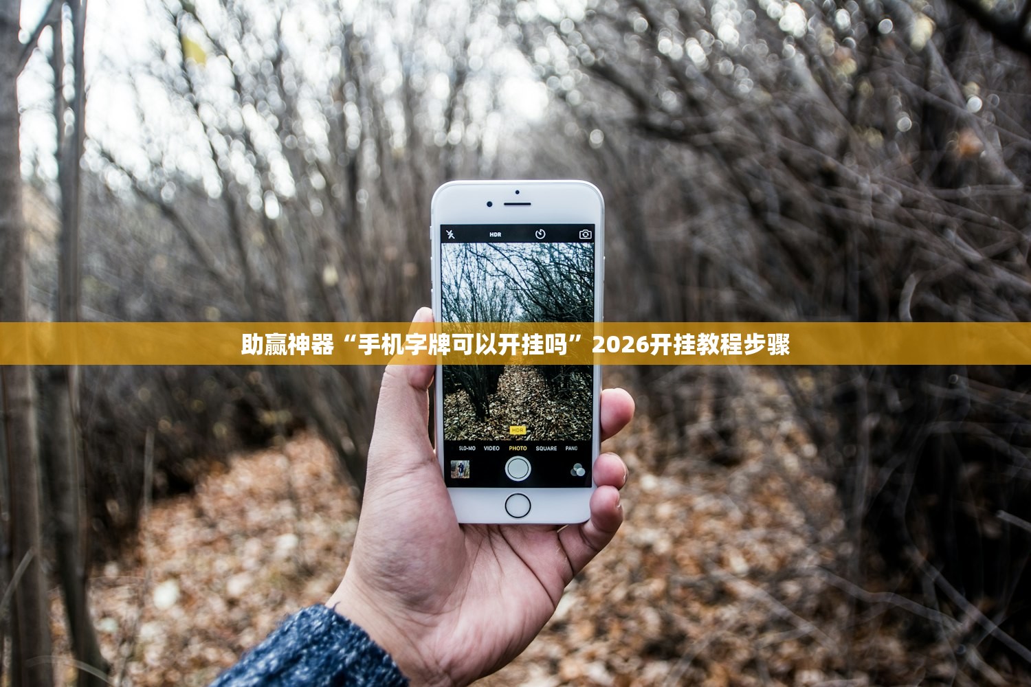 助赢神器“手机字牌可以开挂吗”2026开挂教程步骤