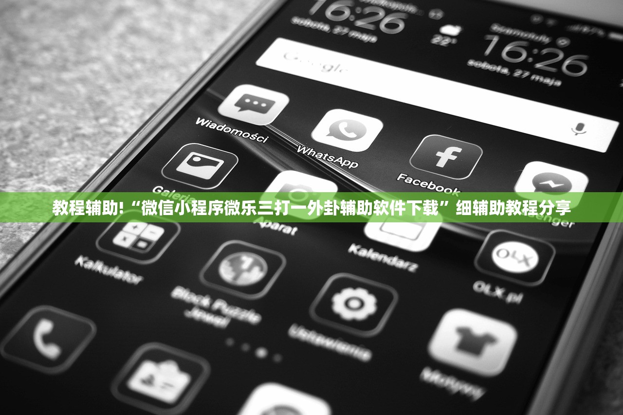 教程辅助!“微信小程序微乐三打一外卦辅助软件下载”细辅助教程分享