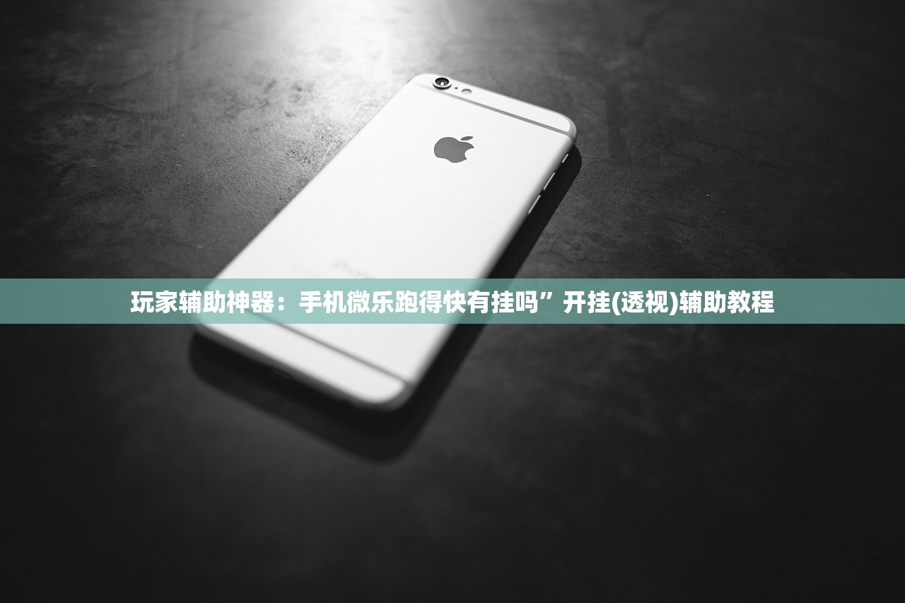 玩家辅助神器：手机微乐跑得快有挂吗	”开挂(透视)辅助教程