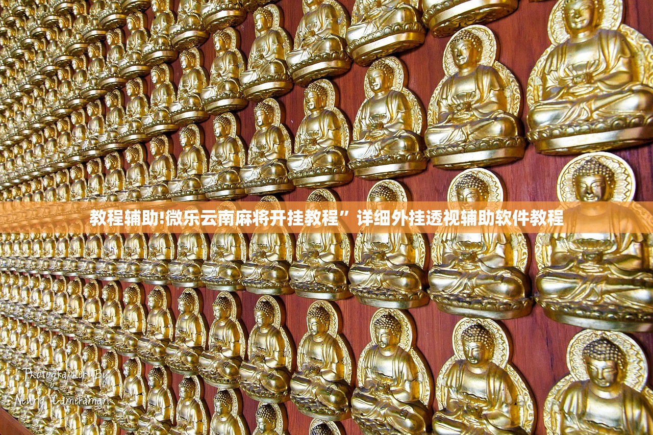 教程辅助!微乐云南麻将开挂教程”详细外挂透视辅助软件教程