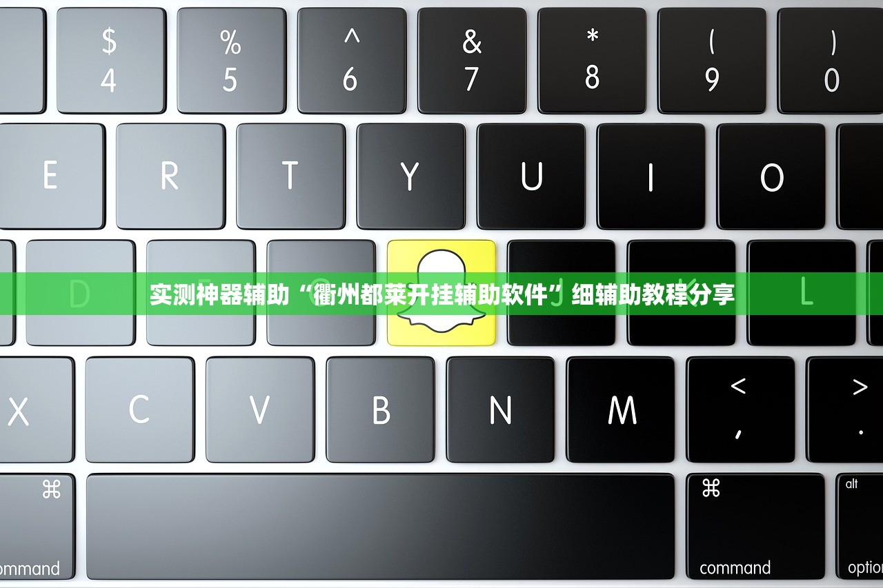 实测神器辅助“衢州都莱开挂辅助软件”细辅助教程分享