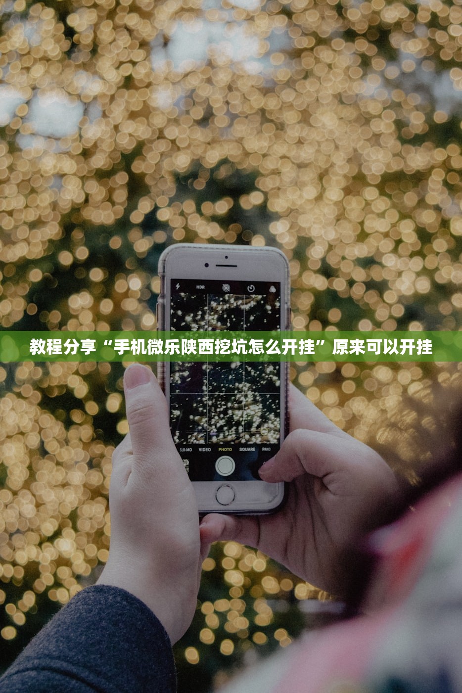 教程分享“手机微乐陕西挖坑怎么开挂”原来可以开挂