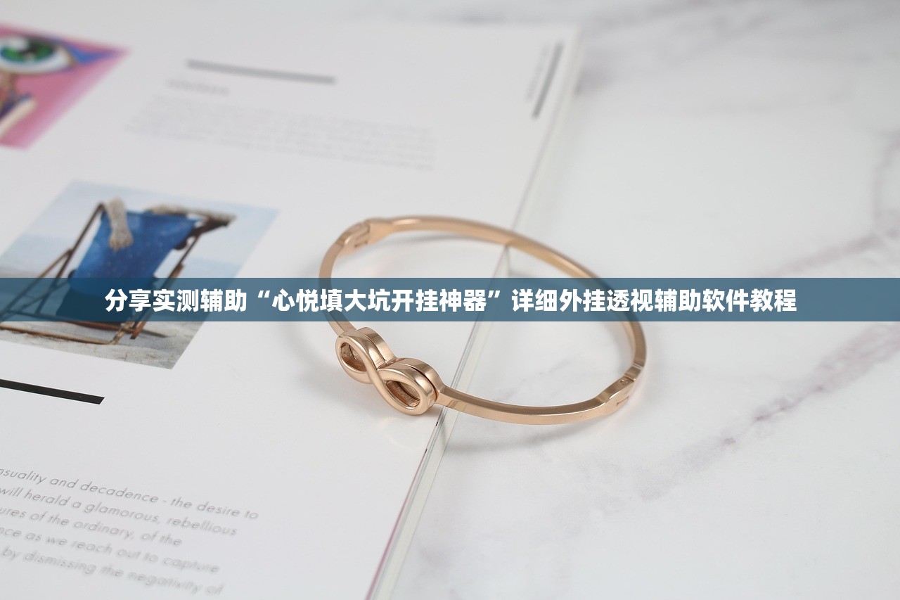 分享实测辅助“心悦填大坑开挂神器”详细外挂透视辅助软件教程