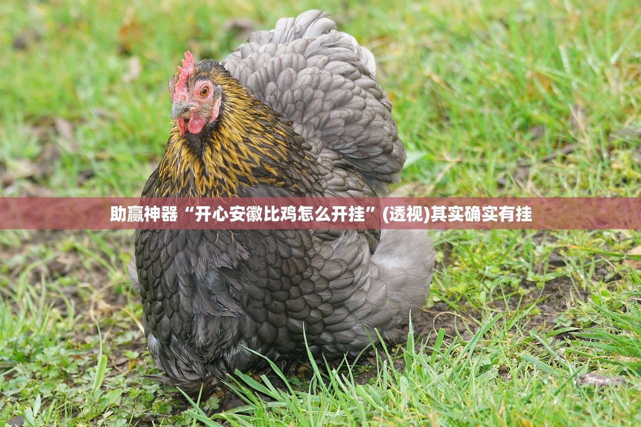 春节期间高速免费从什么时候开始:春节期间高速免费到什么时候?