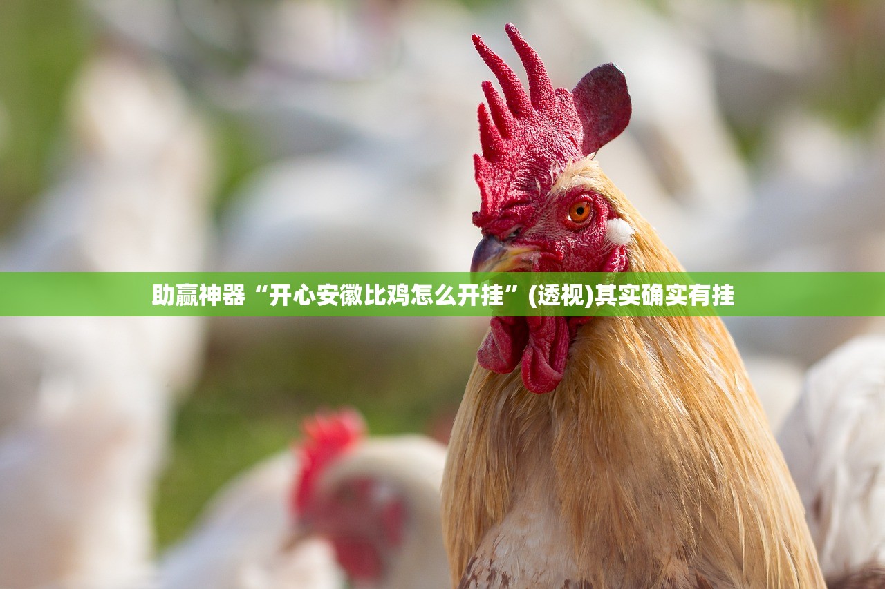 助赢神器“开心安徽比鸡怎么开挂	”(透视)其实确实有挂