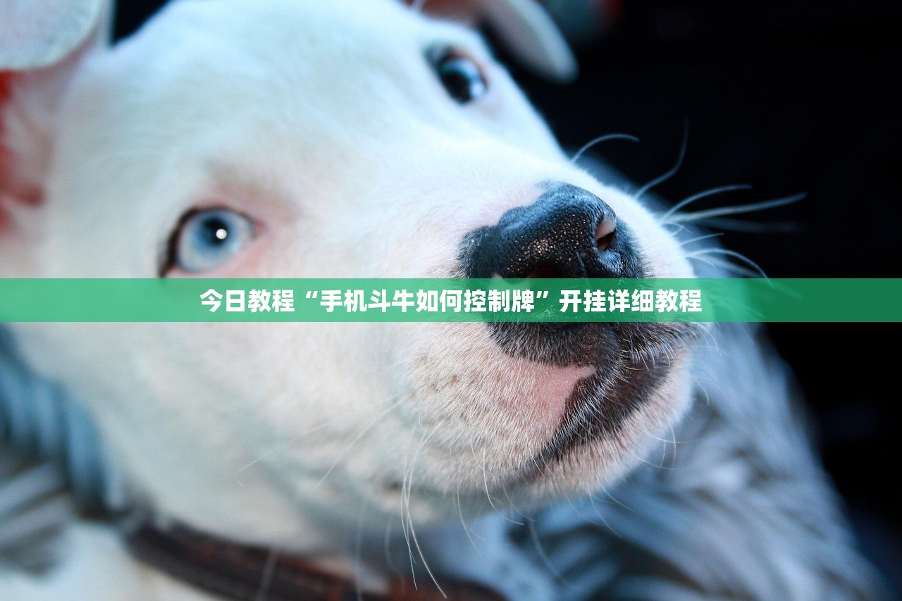 助赢神器“新贝壳大厅拼三张牌辅助”开挂详细教程