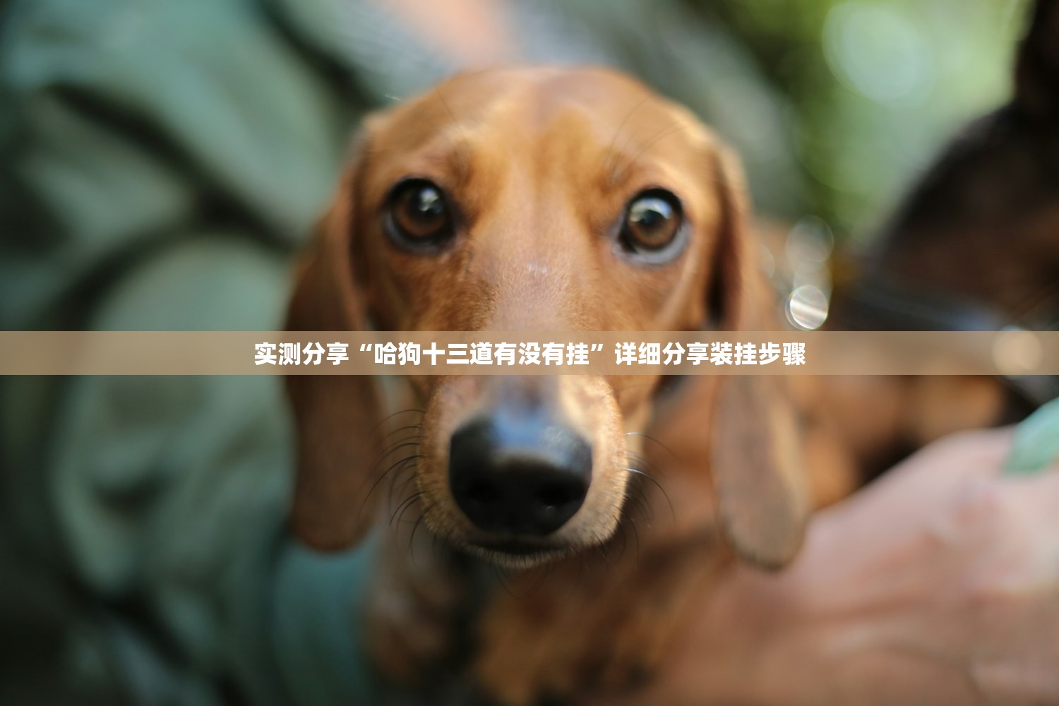 实测分享“禅游斗地主外卦辅助软件下载”详细开挂教程
