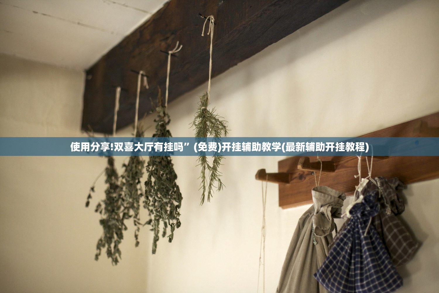 实测辅助“轩辕大厅有挂吗(透视)”开挂辅助脚本+详细开挂安装教程