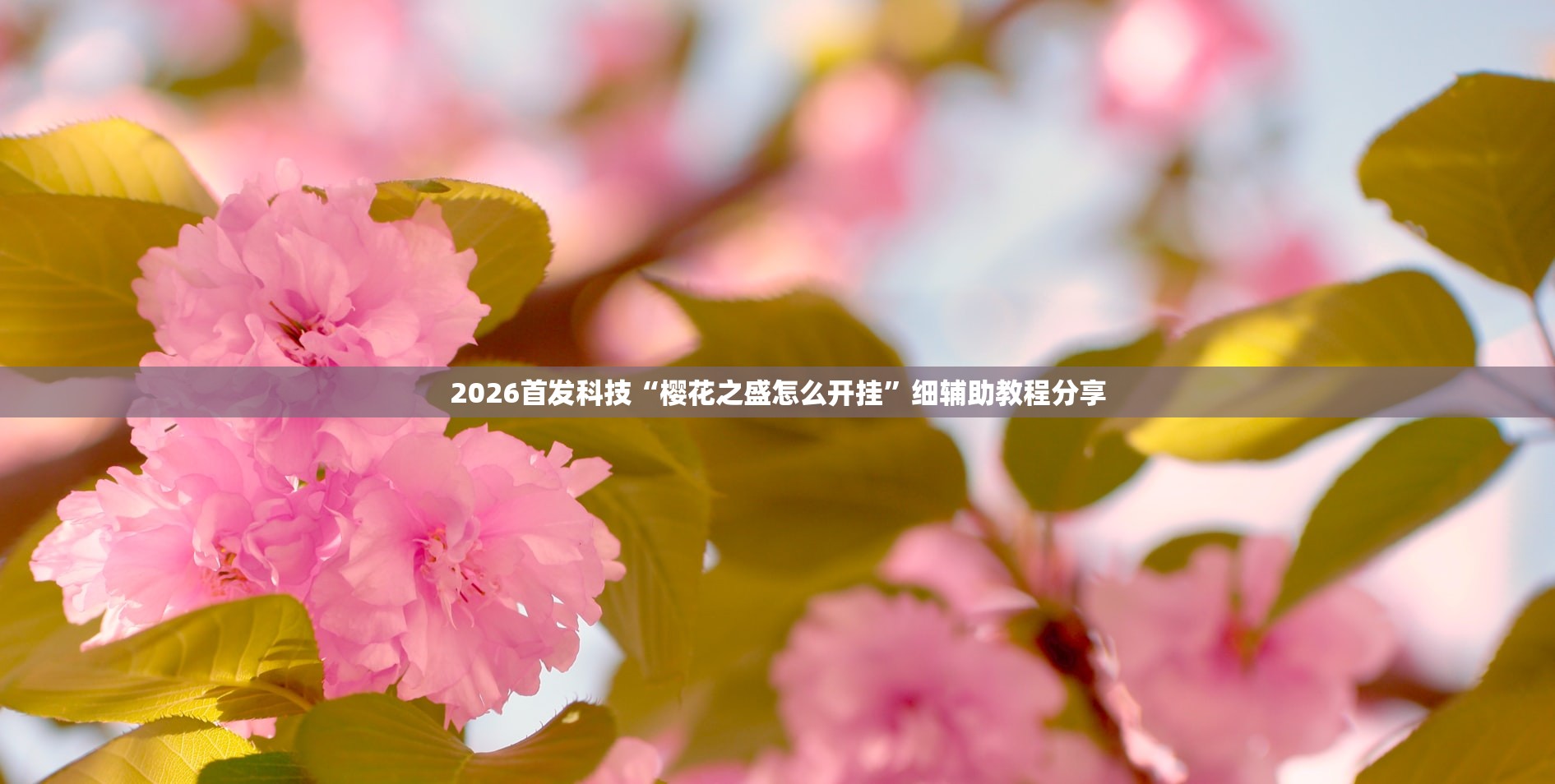 【大连疫情最新情况,大连疫情最新消息分布情况】