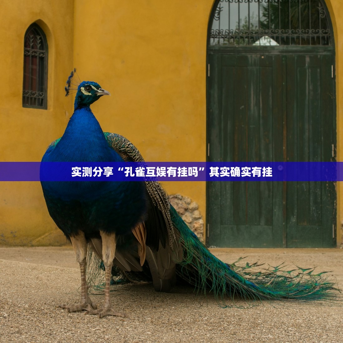 必备科技“手机微乐麻将开挂免费软件下载”科技辅助神器手机版
