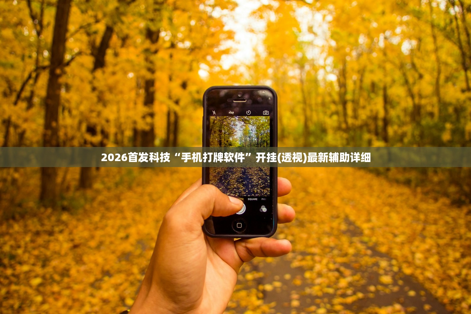2026首发科技“手机打牌软件”开挂(透视)最新辅助详细