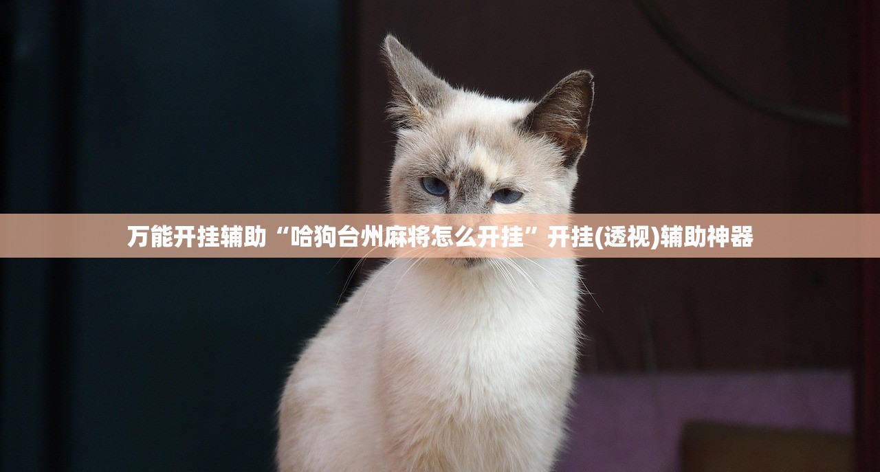 分享实测辅助“手机麻将开挂免费软件下载安装”开挂(透视)最新辅助详细