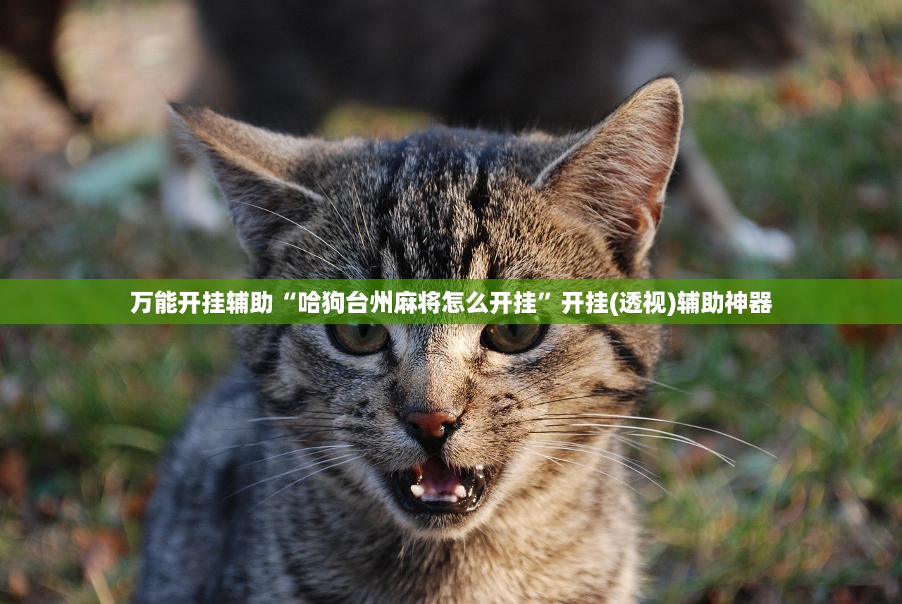 万能开挂辅助“哈狗台州麻将怎么开挂	”开挂(透视)辅助神器