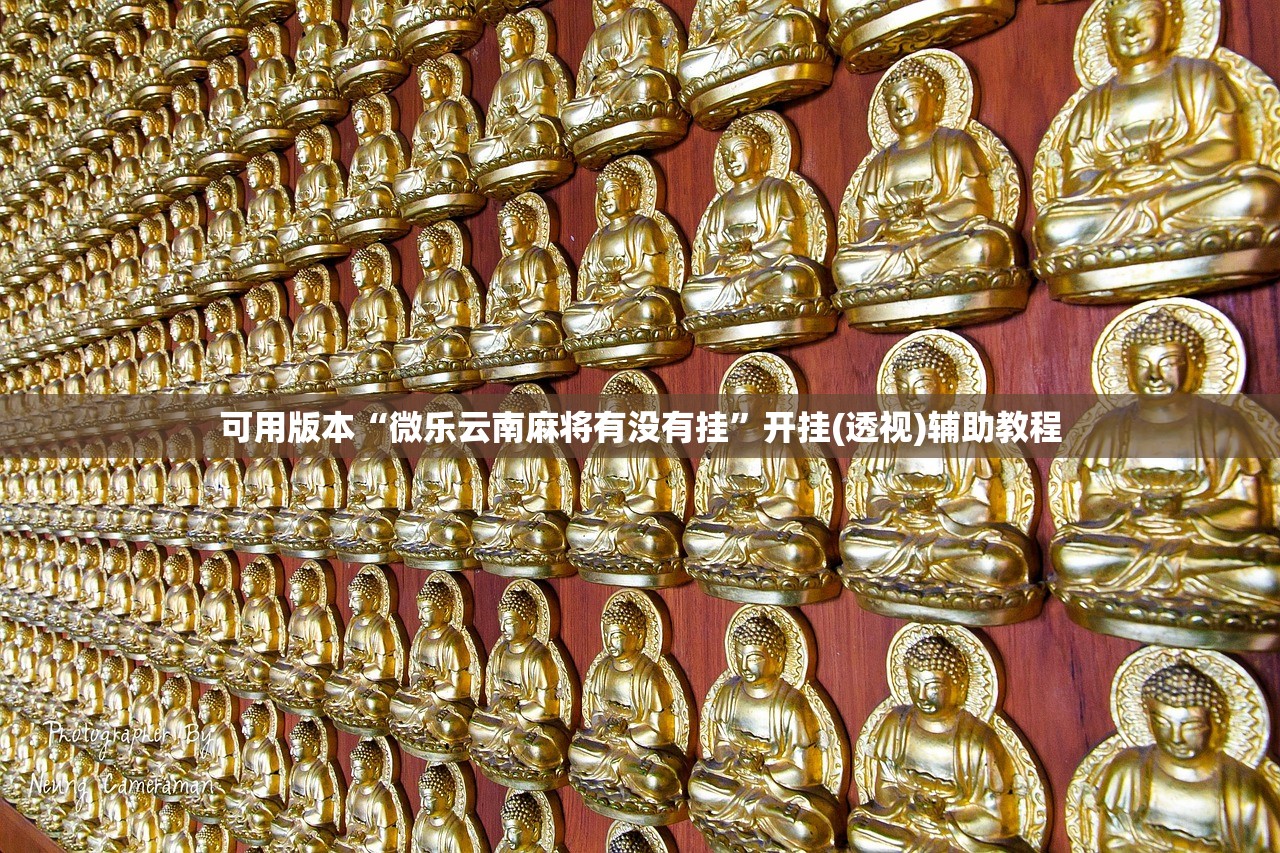 助赢神器“微信小程序微乐麻将怎么控制输赢(透视)”开挂辅助脚本+详细开挂安装教程