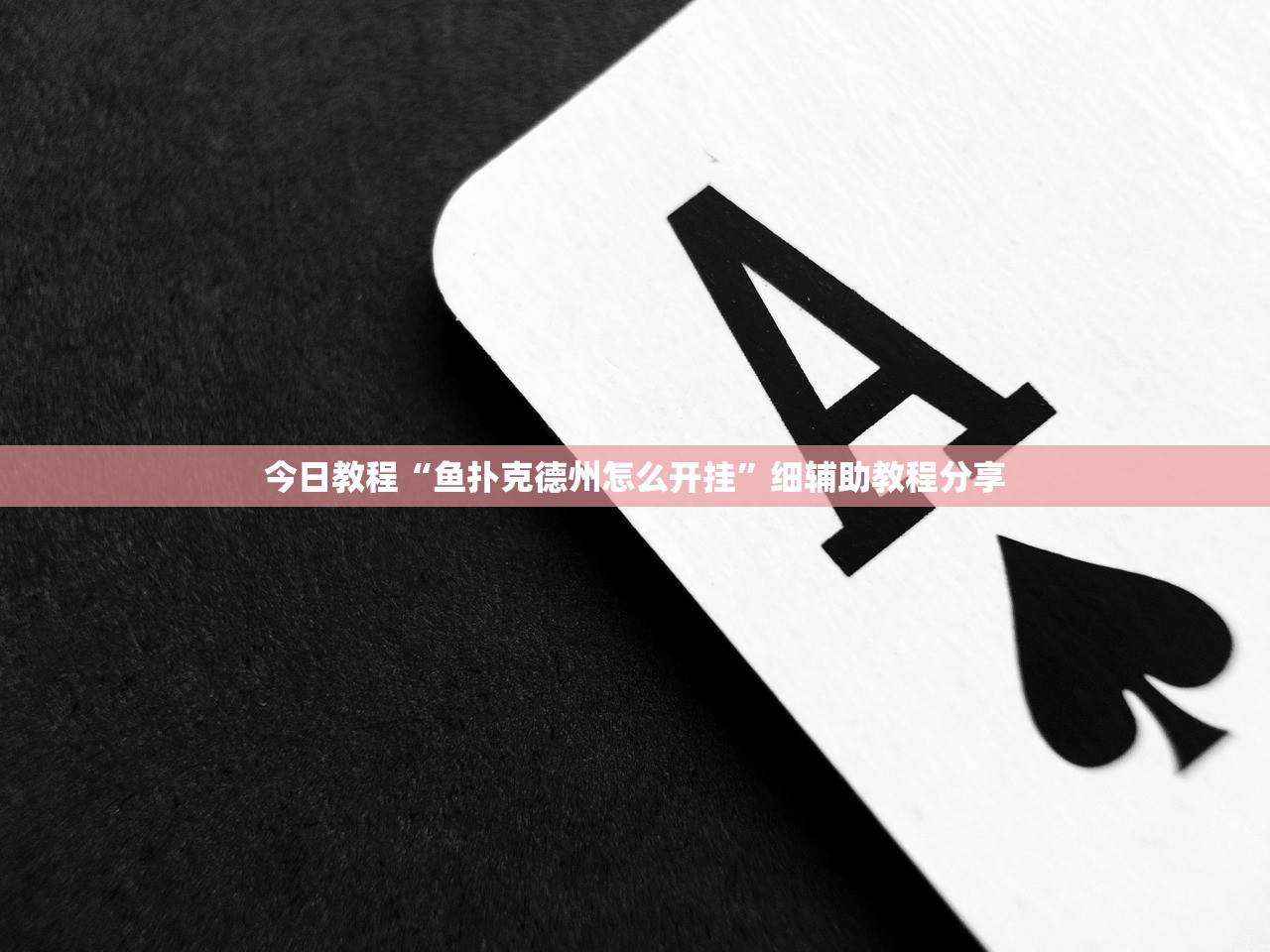 今日教程“鱼扑克德州怎么开挂”细辅助教程分享
