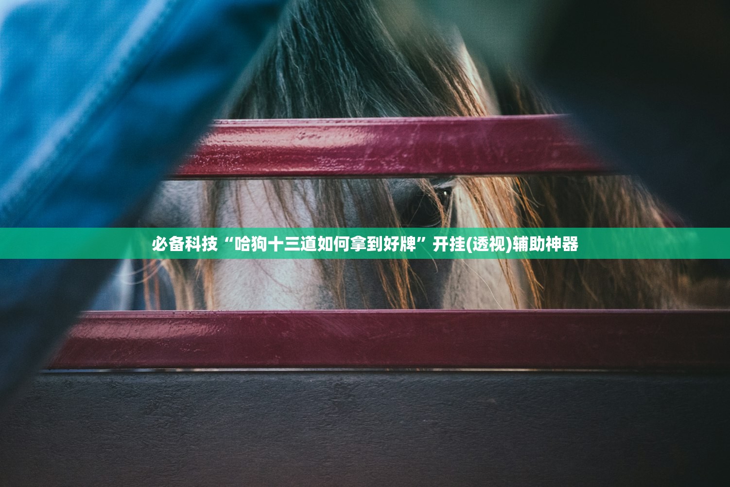 强力推荐“微信小程序微乐麻将有挂吗”开挂(透视)辅助教程
