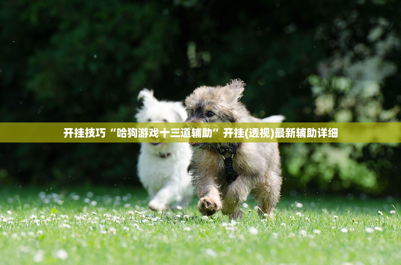 【汕头有哪些大学,广东湛江有几所大学】