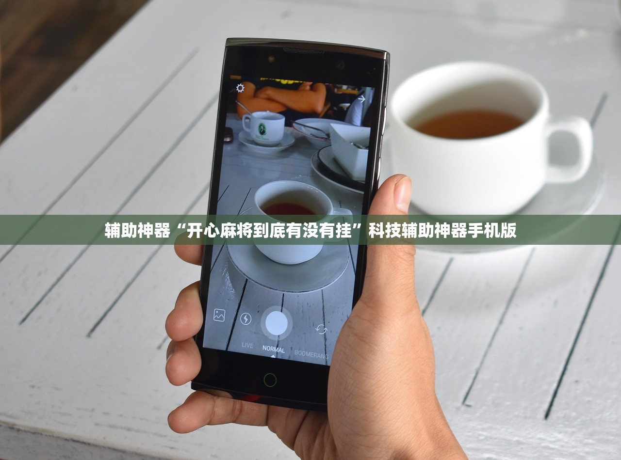 辅助神器“开心麻将到底有没有挂”科技辅助神器手机版