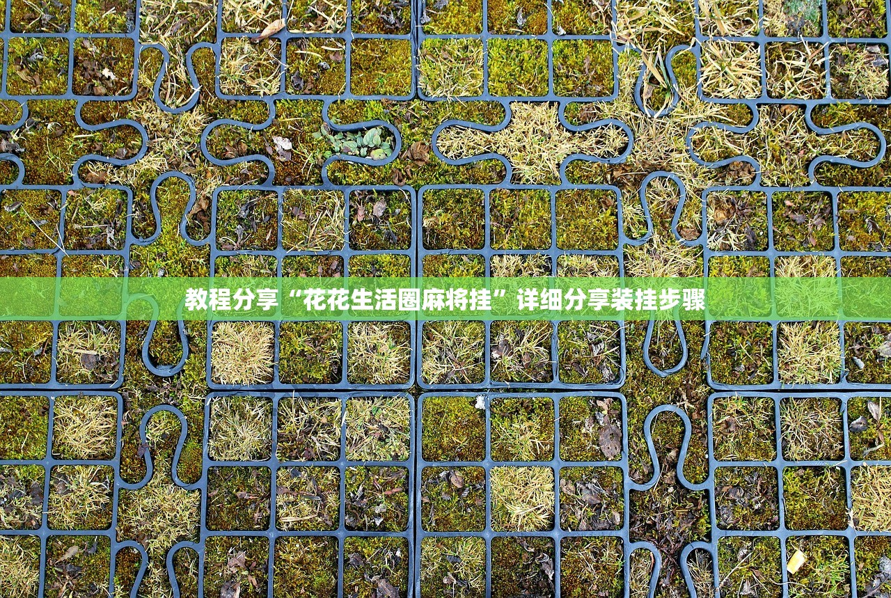 教程分享“花花生活圈麻将挂”详细分享装挂步骤