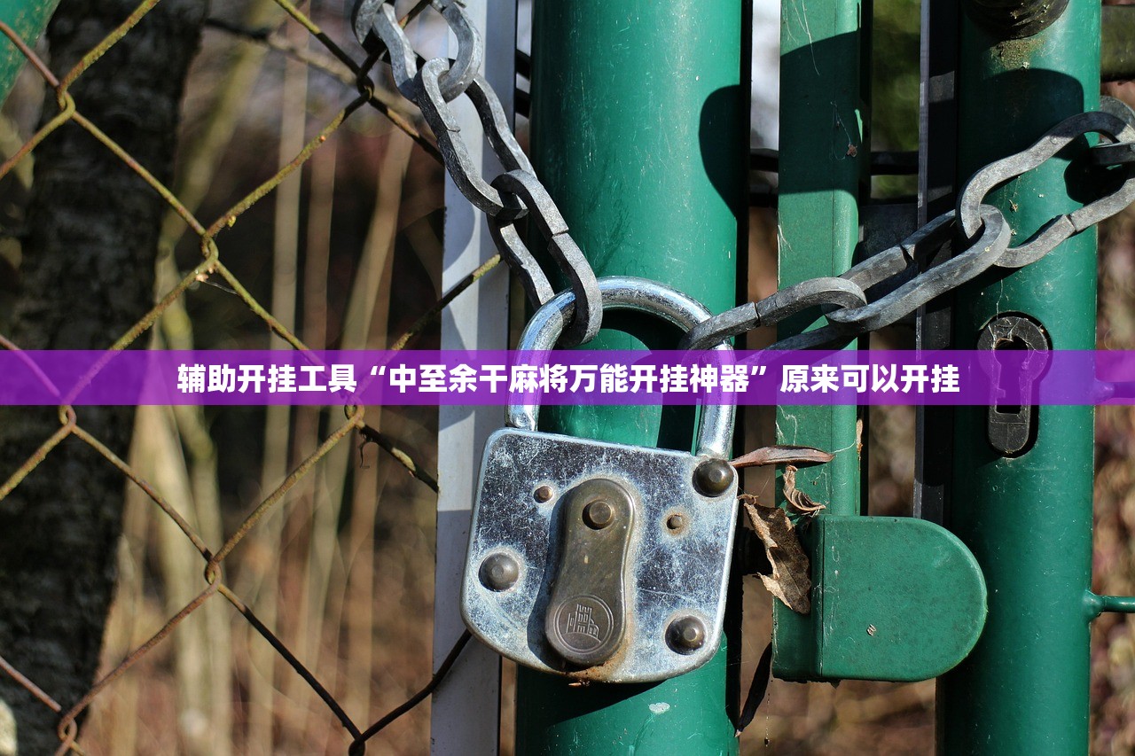 辅助开挂工具“中至余干麻将万能开挂神器	”原来可以开挂