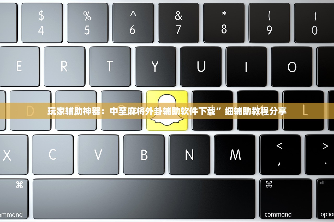 玩家辅助神器：中至麻将外卦辅助软件下载”细辅助教程分享
