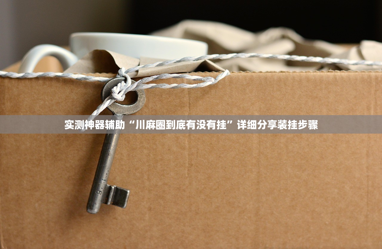 实测神器辅助“川麻圈到底有没有挂	”详细分享装挂步骤