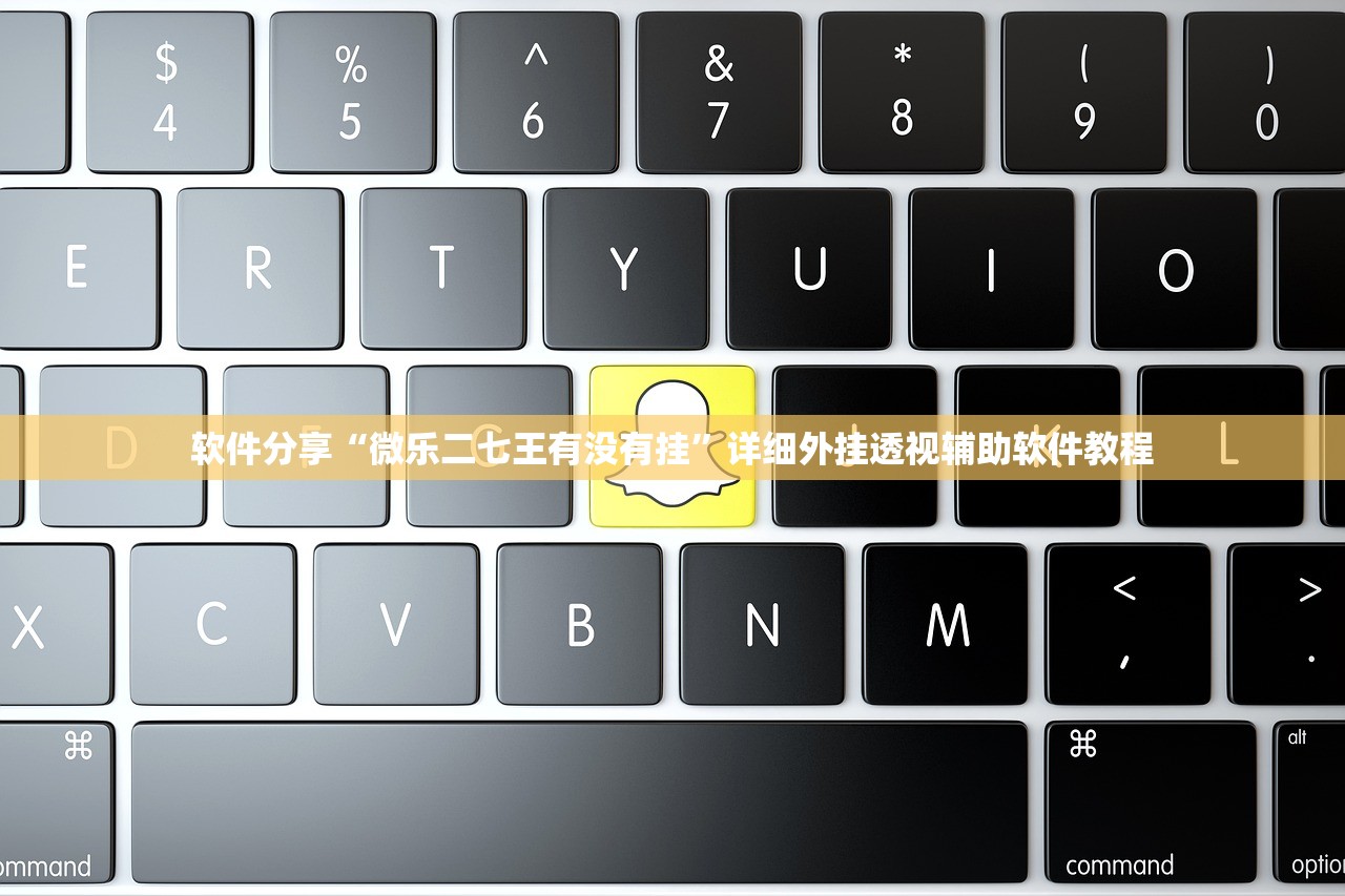 万能开挂辅助“微乐捉老麻子怎样免费开挂”细辅助教程分享