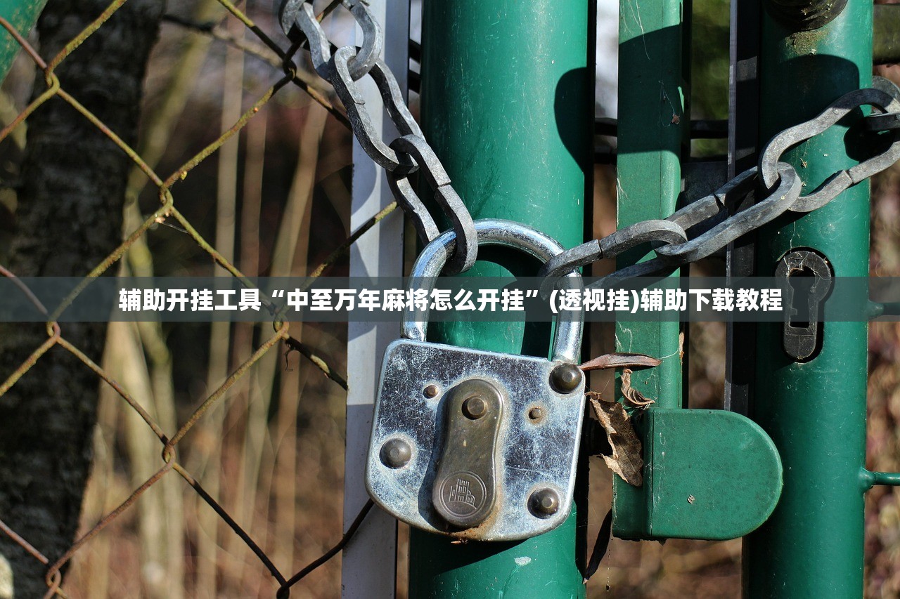 辅助开挂工具“中至万年麻将怎么开挂”(透视挂)辅助下载教程