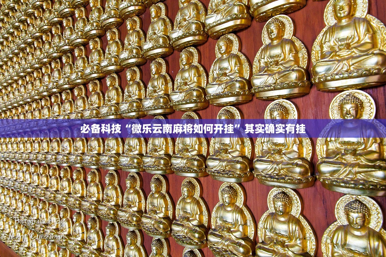必备科技“微乐云南麻将如何开挂	”其实确实有挂
