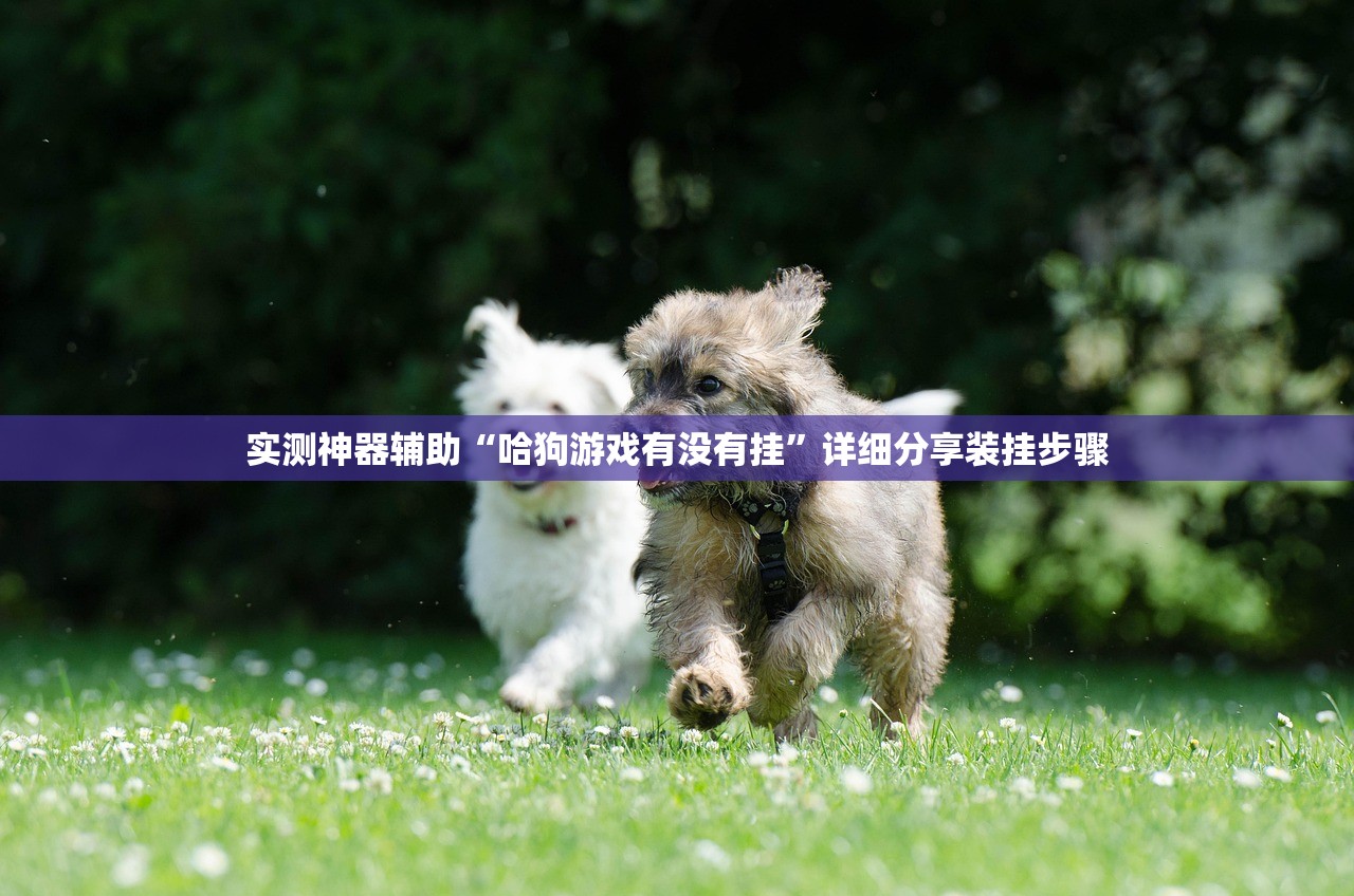 【北京海淀区一地升为高风险,北京海淀区是高危区吗?】