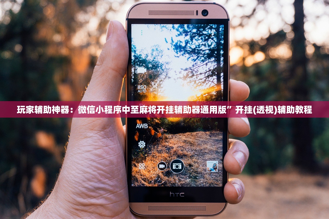 玩家辅助神器：微信小程序中至麻将开挂辅助器通用版”开挂(透视)辅助教程