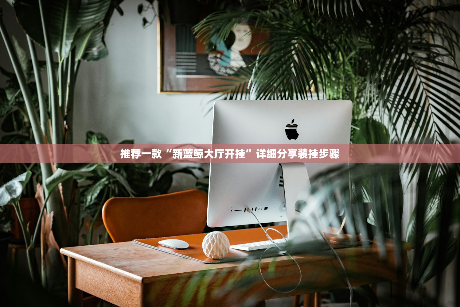 万能开挂辅助“九酷众娱免费辅助器”细辅助教程分享