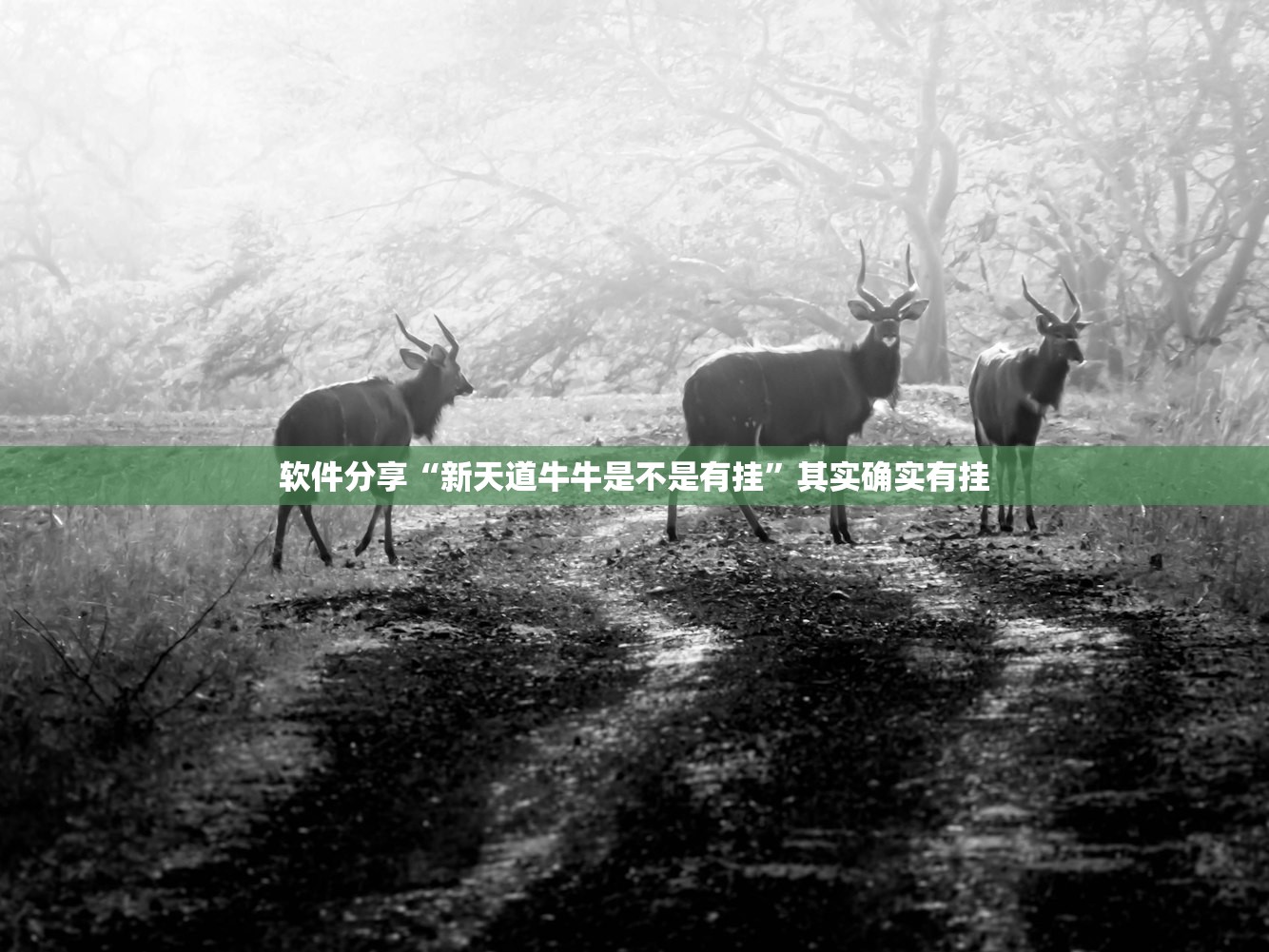 美国疫情最新情况最新消息/美国疫情最新情况!