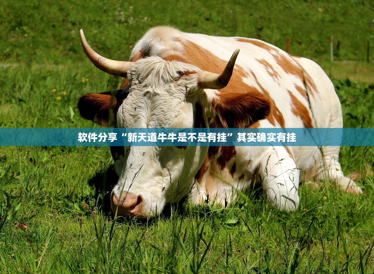 软件分享“新天道牛牛是不是有挂”其实确实有挂