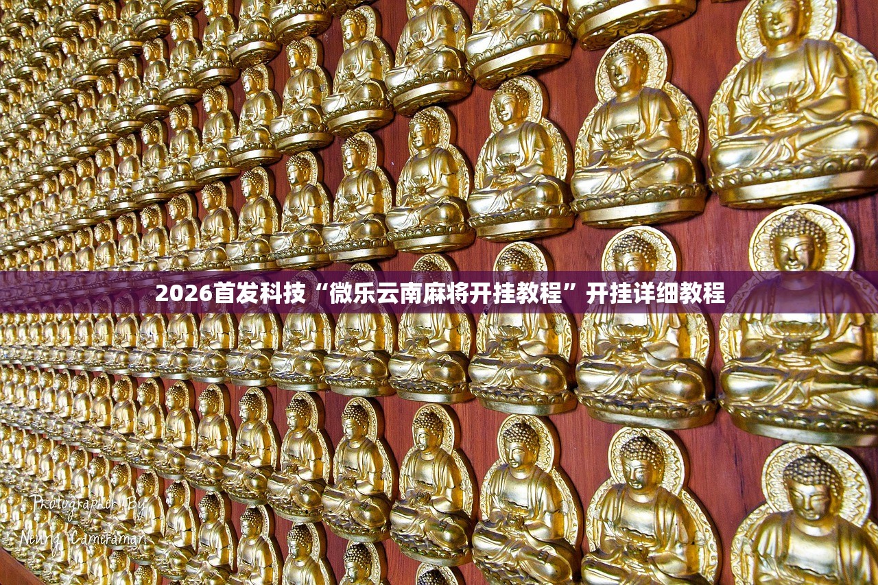 2026首发科技“微乐云南麻将开挂教程”开挂详细教程
