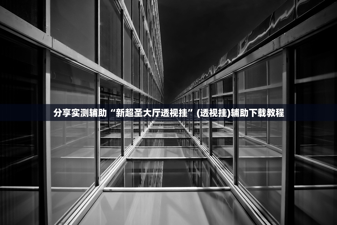 分享实测辅助“新超圣大厅透视挂”(透视挂)辅助下载教程