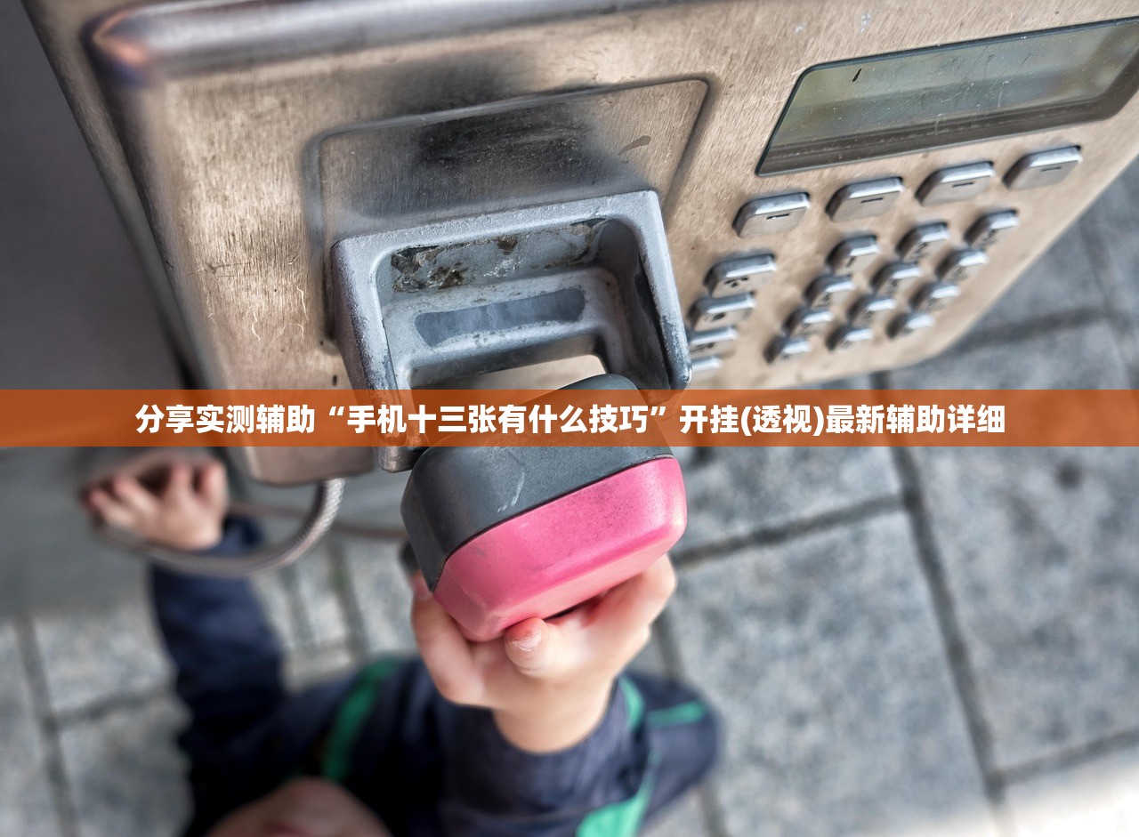 分享实测辅助“手机十三张有什么技巧”开挂(透视)最新辅助详细