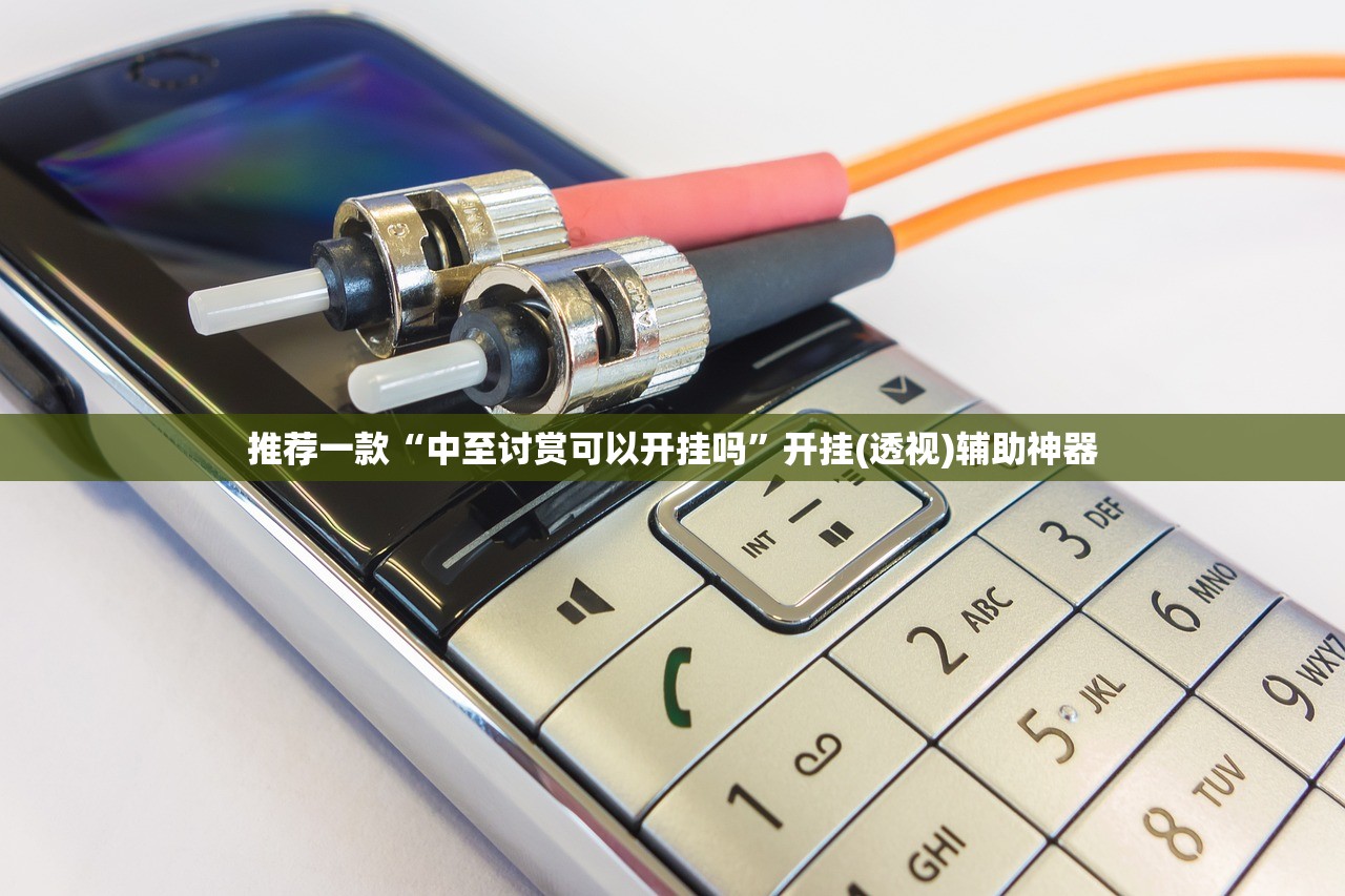 推荐一款“中至讨赏可以开挂吗”开挂(透视)辅助神器
