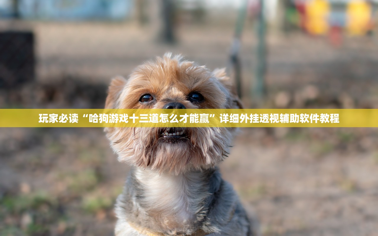 教程更新!：微乐广西麻将有挂的吗”开挂(透视)辅助教程